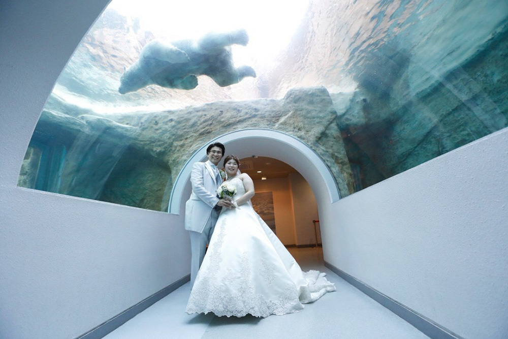 静岡フォトウエディングの画像・日本平動物園２