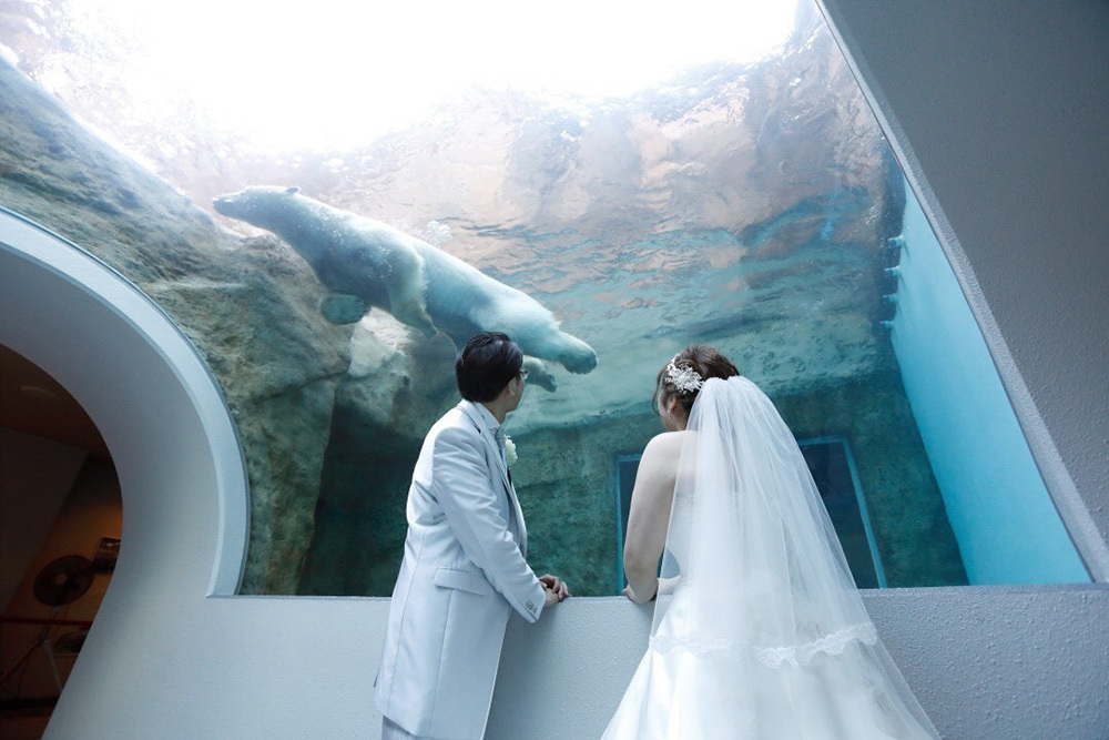 静岡フォトウエディングの画像・日本平動物園３