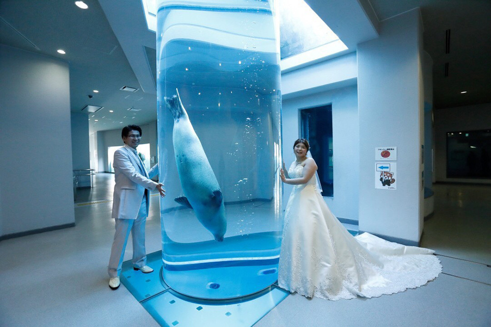 静岡フォトウエディングの画像・日本平動物園４