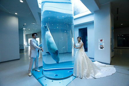 静岡フォトウエディングの日本平動物園