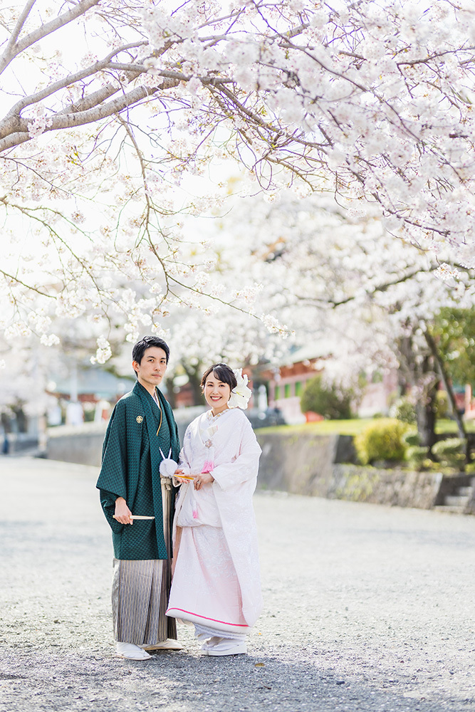静岡フォトウエディングのフィーノスタイルで撮影した桜と新郎新婦