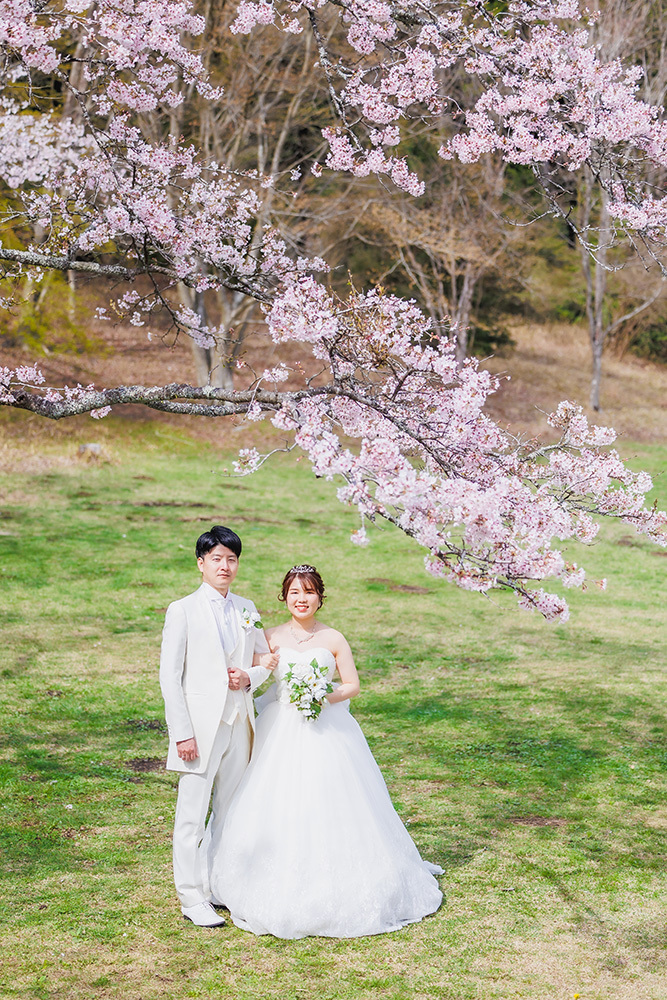 静岡フォトウエディングのフィーノスタイルで撮影した桜と新郎新婦