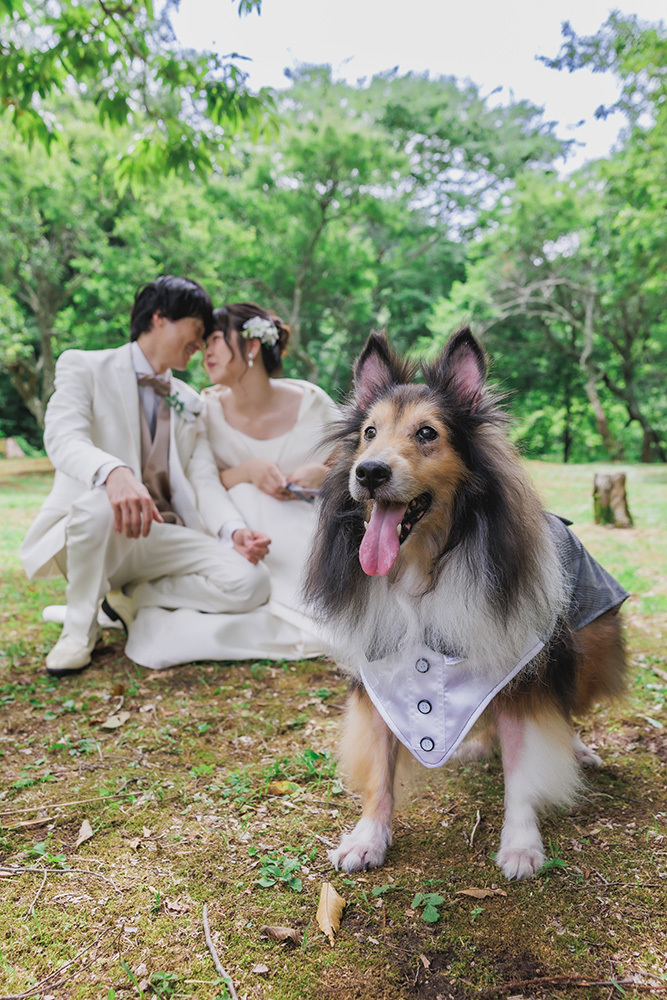 静岡フォトウエディングのフィーノスタイルで撮影したペットと一緒に撮影した新郎新婦