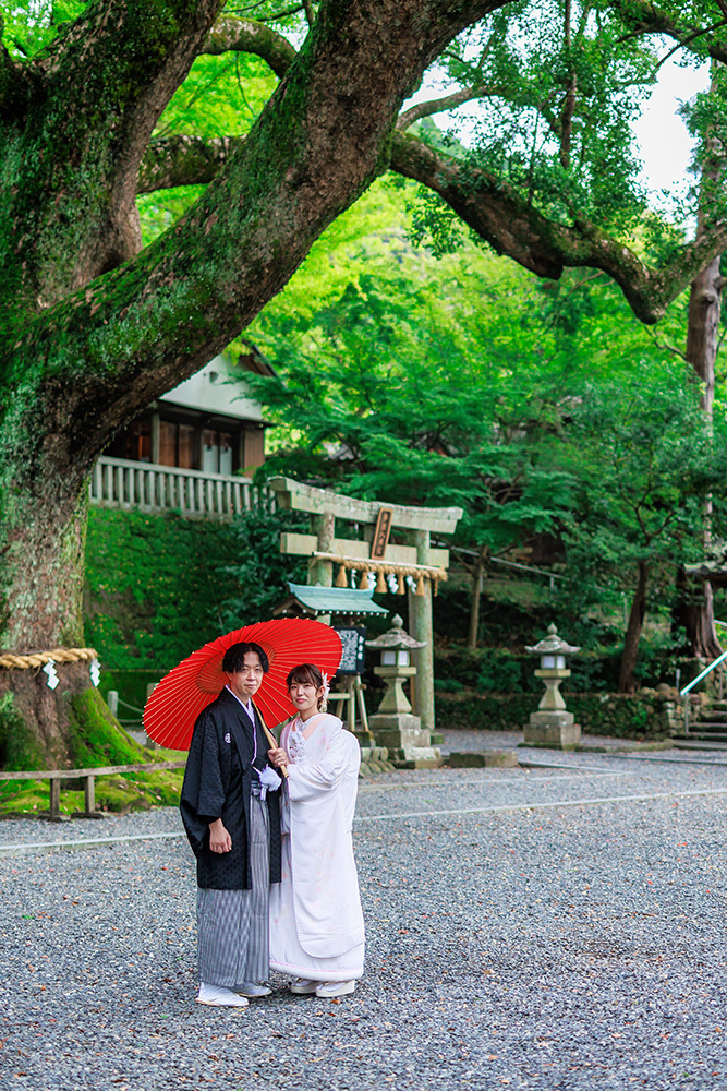 静岡フォトウエディングのフィーノスタイルで撮影した事任八幡宮（ことのままはちまんぐう）の新郎新婦