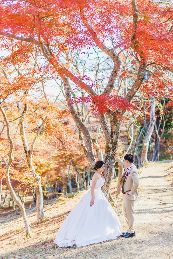 静岡フォトウエディングのフィーノスタイルで撮影した紅葉＆すすきでの新郎新婦の記念写真撮影