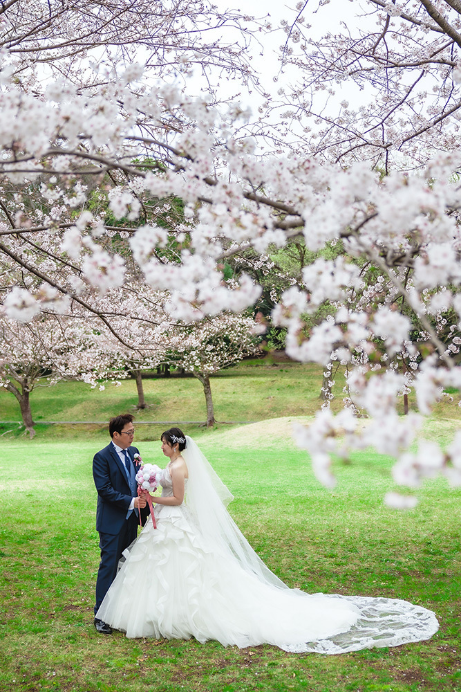 静岡フォトウエディングのフィーノスタイルで撮影した桜と新郎新婦