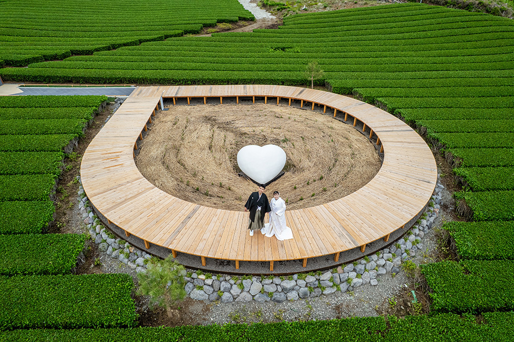 静岡フォトウエディングのフィーノスタイルで撮影した茶の間・茶園の新郎新婦