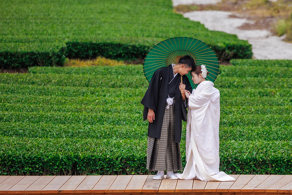 静岡フォトウエディングのフィーノスタイルで撮影した茶の間・茶園の新郎新婦
