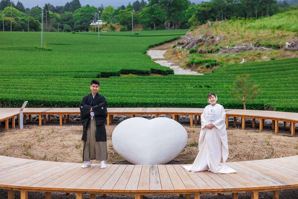 静岡フォトウエディングのフィーノスタイルで撮影した茶の間・茶園の新郎新婦