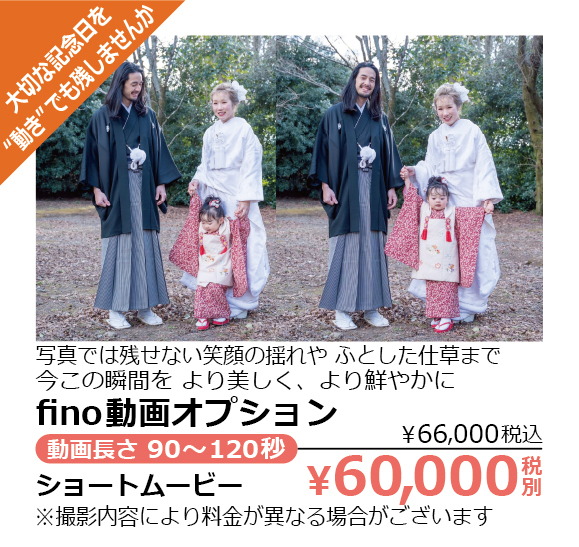 フィーノ動画オプション